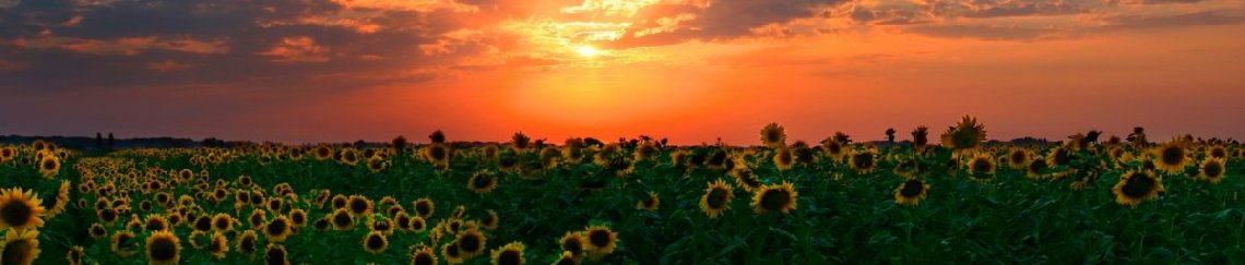 Такси Краснодар Ачуево