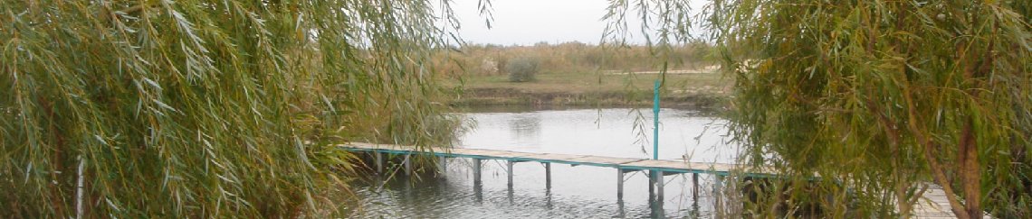 Такси Краснодар Гришковское