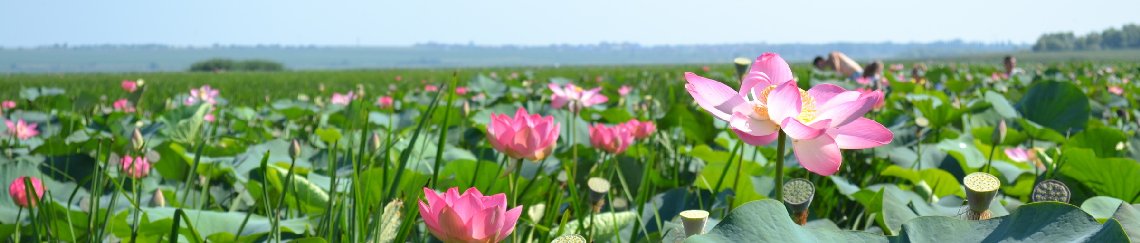 Такси Краснодар Красноармейский