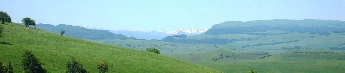 Такси Краснодар Передовая