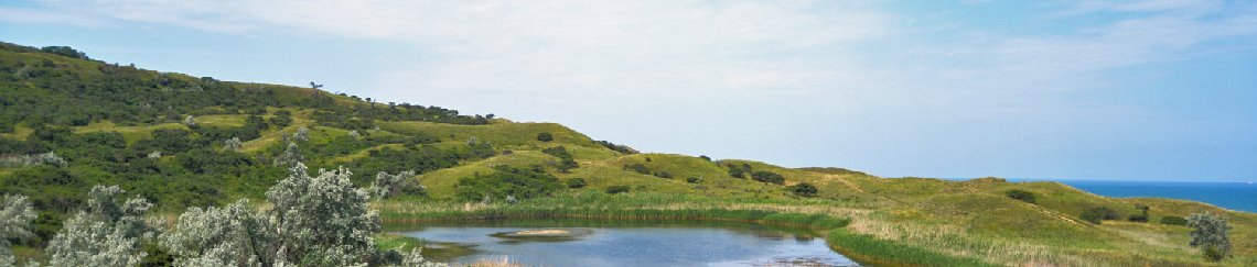 Такси Краснодар Приазовский Такси Краснодар Приазовский